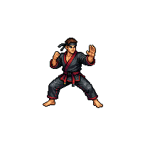 Sensei fighter
